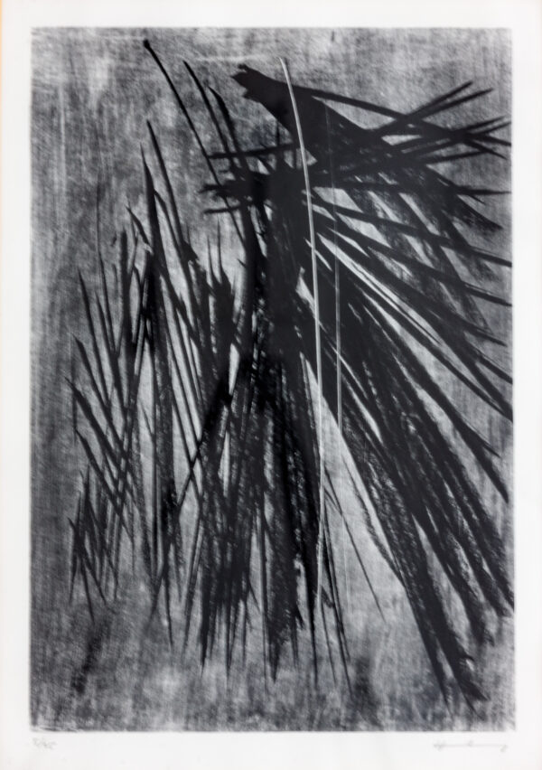 S.T. - Hans Hartung